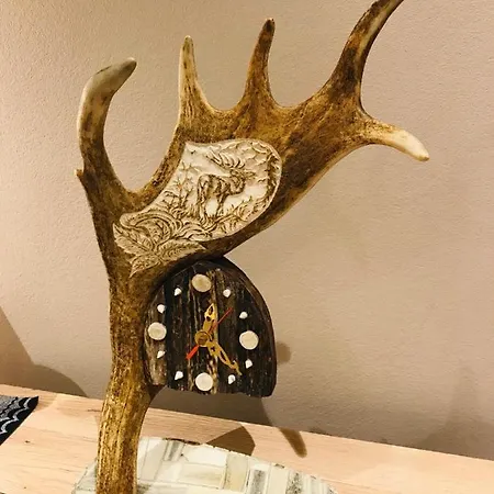 Apartman Gazdzinek *